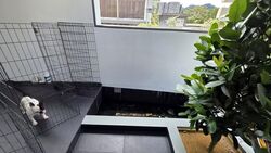 Michaels' Residences (D23), Semi-Detached #575840571